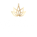 Zitica